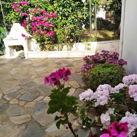 Asteria House Semesterbostad Kala Nera